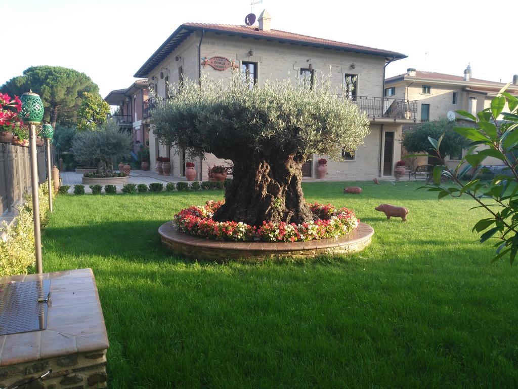 Domus Angeli Hotel Assisi Ngoại thất bức ảnh